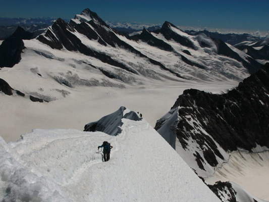 Chörbschhorn